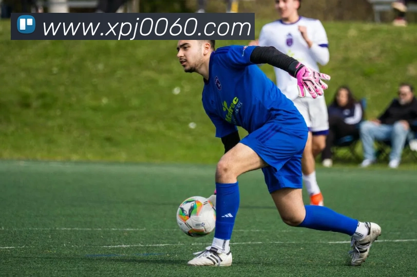 新葡京在线官网APP 封面图